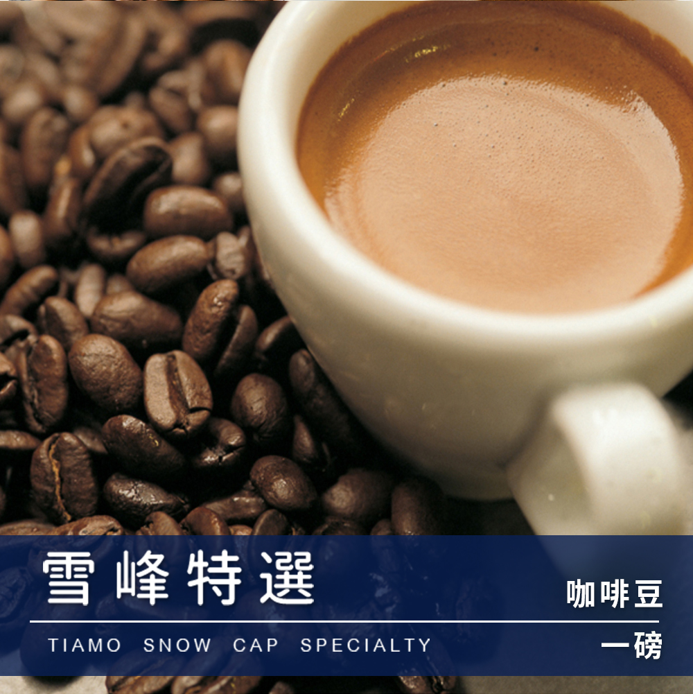 Tiamo一磅裝咖啡豆-雪峰特選 450g