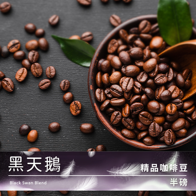 新品！Tiamo 精品咖啡豆 黑天鵝  |新品上市！焦點推薦