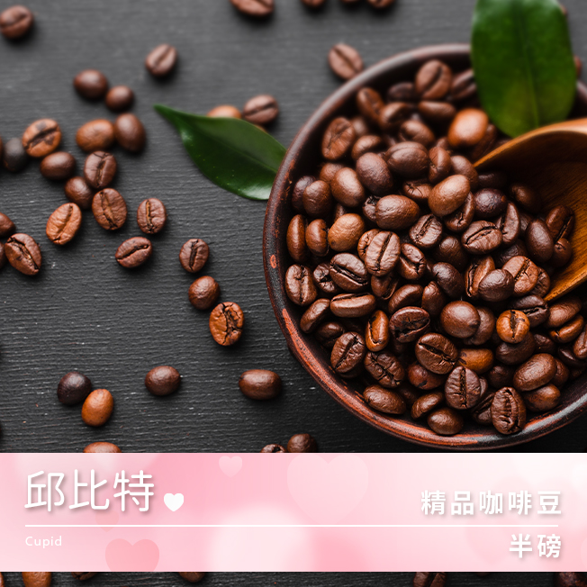 Tiamo 精品咖啡豆 邱比特 半磅  |精品咖啡豆 買三送一