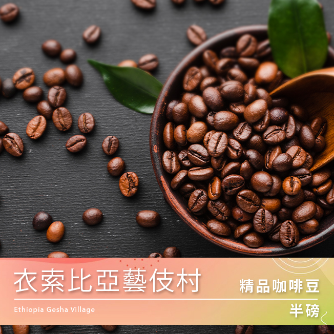 Tiamo 精品咖啡豆 衣索比亞藝伎村 半磅  |精品咖啡豆 買三送一