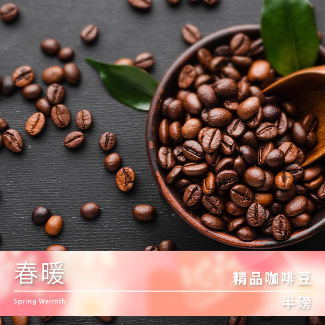 Tiamo 精品咖啡豆 春暖 半磅